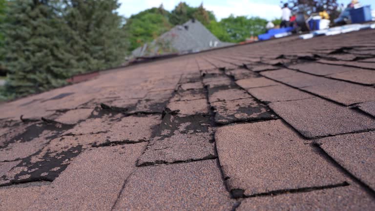 Best Steel Roofing  in Lake Camelot, IL