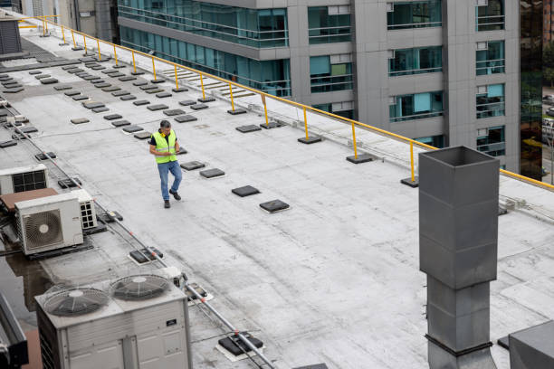 Best Skylight Installation and Repair  in Lake Camelot, IL