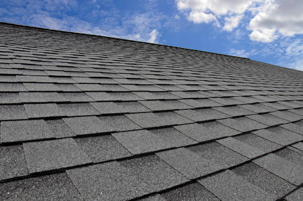 Best Flat Roofing  in Lake Camelot, IL