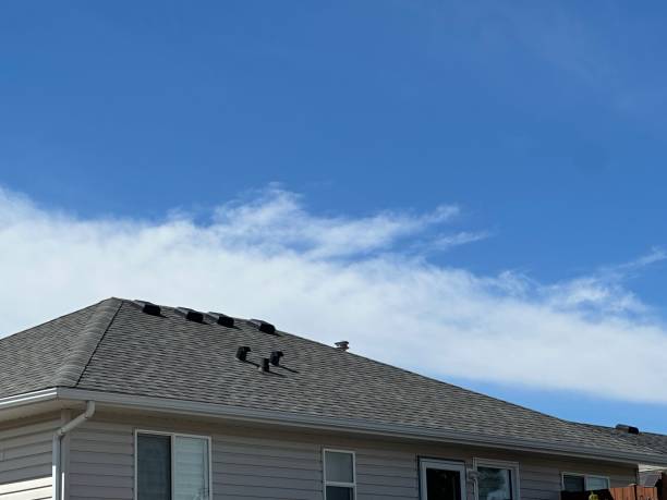 Best Green or Eco-Friendly Roofing Solutions  in Lake Camelot, IL